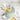 Color: Honeydew