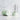 Color: Honeydew